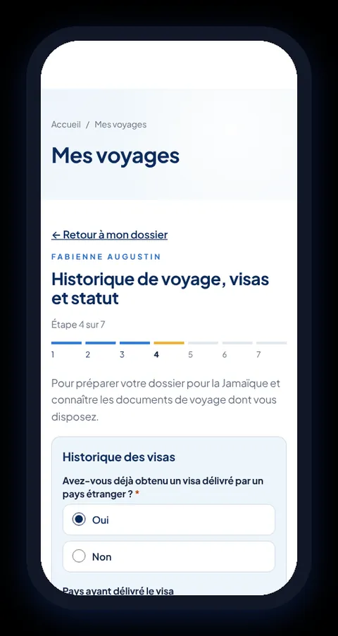 Step 4: travel and visa history.